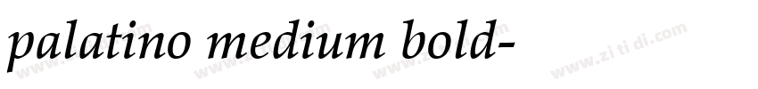 palatino medium bold字体转换